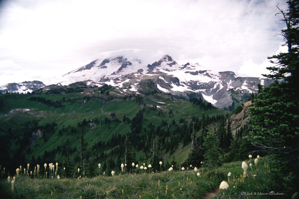 Mt Rainier from Wonderland Trail - Summer 2001